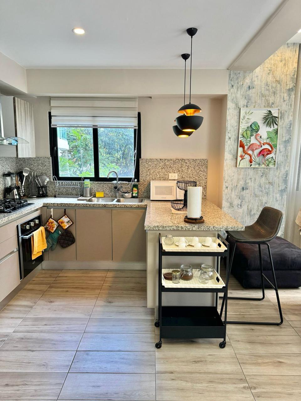 apartamentos - Apartamento en Venta PIANTINI dos hab 2.5 baños  3