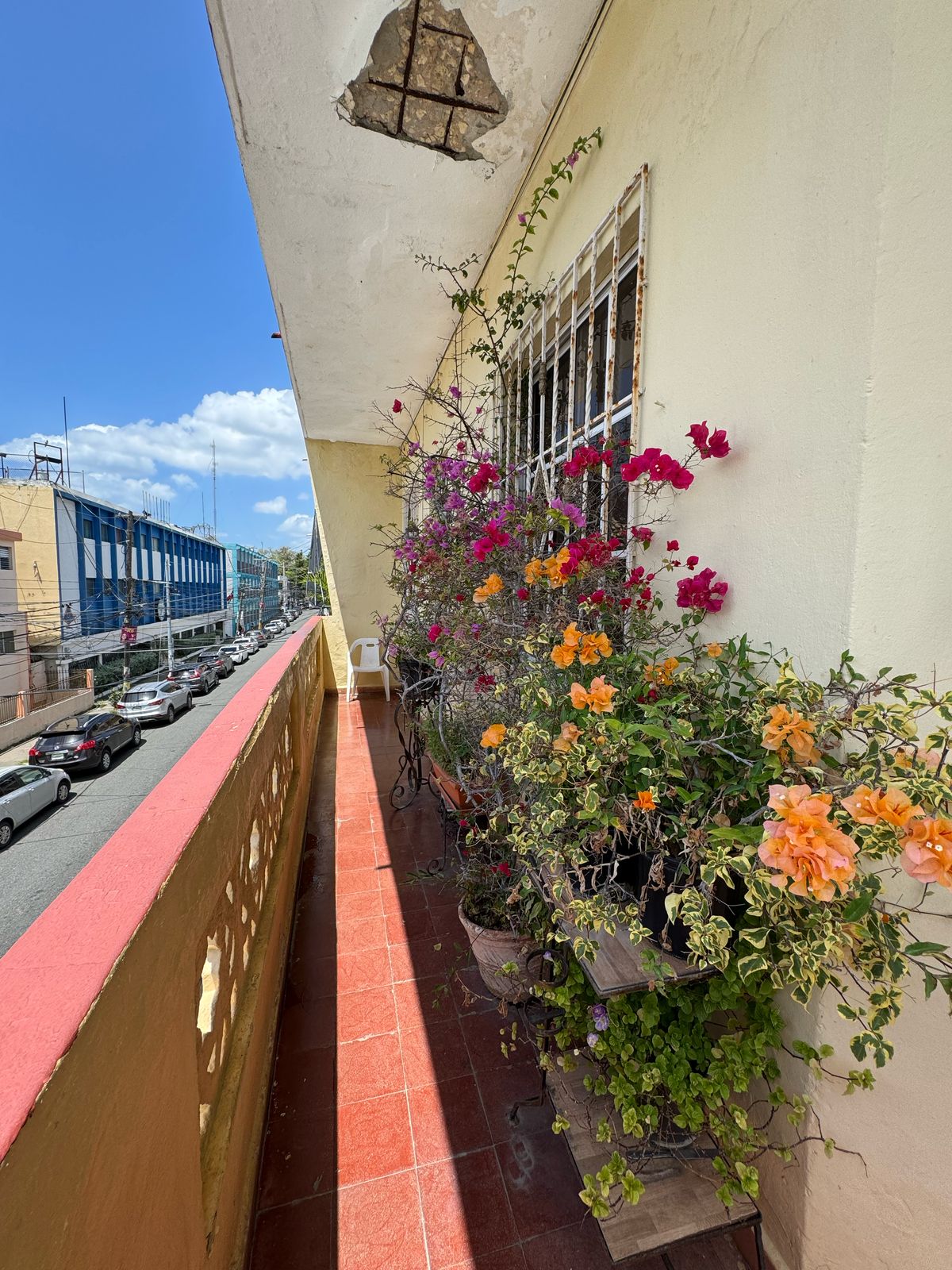 apartamentos - Segundo Piso En Ciudad Nueva Ideal Para Negocios 5