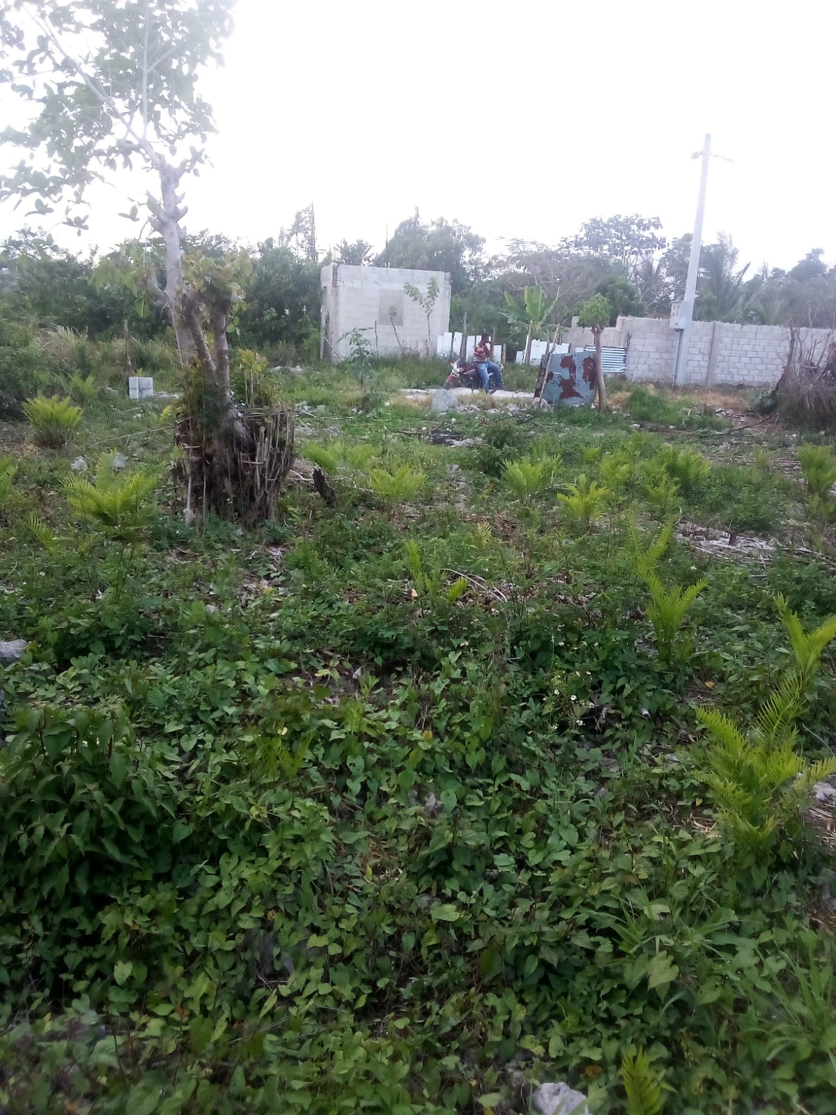 solares y terrenos - VENDO 300 MTS  BAVARO ALTOS DE FRIUSA  0