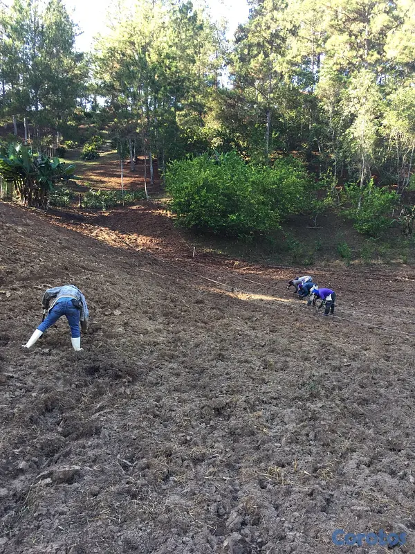 solares y terrenos - VENTA SOLAR EN CONSTANZA 7