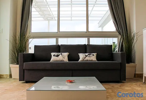 penthouses - Playa Nueva Romana  8