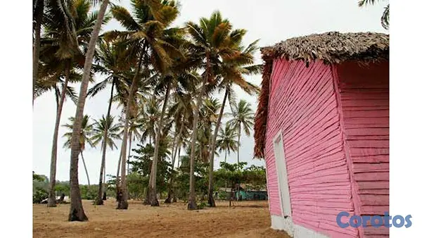 solares y terrenos - Venta de Terreno 1a Linea de Playa - Puerto Plata 4