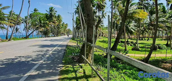solares y terrenos - Solares en Nagua 5
