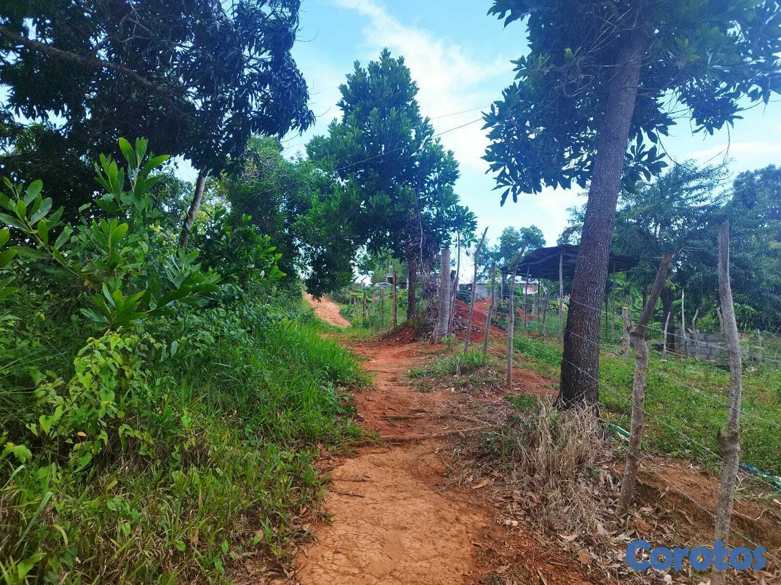 solares y terrenos - SOLAR EN VENTA EN LAS TERRENAS, SECTOR LOS PUENTES, CON VISTA AL MAR 2