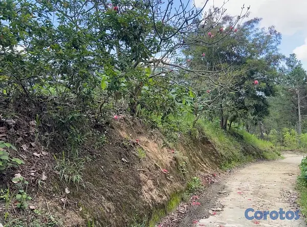 solares y terrenos - TERRENO EN VENTA – JAMAMÚ, SAN JOSE DE LAS MATAS 5