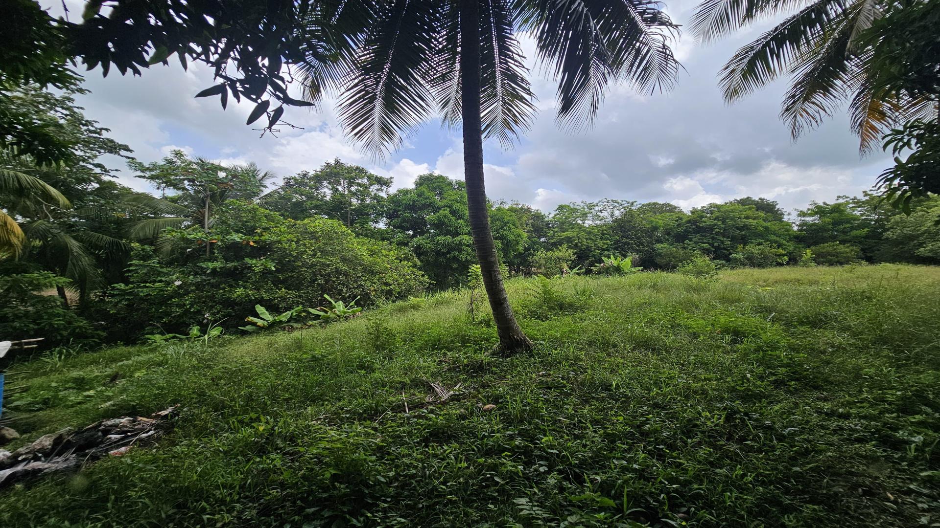 solares y terrenos - Terreno en venta, próximo a la Circunvalación Santo Domingo 1