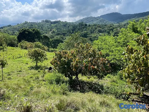 solares y terrenos - Terreno en lugar privilegiado solo uno 2611 MT 
Título Deslindado  5