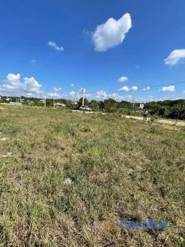 solares y terrenos - se vende traspaso Don marcos  5
