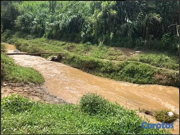 solares y terrenos - Finca en Constanza de 796 tareas con titulo y deslinde  4