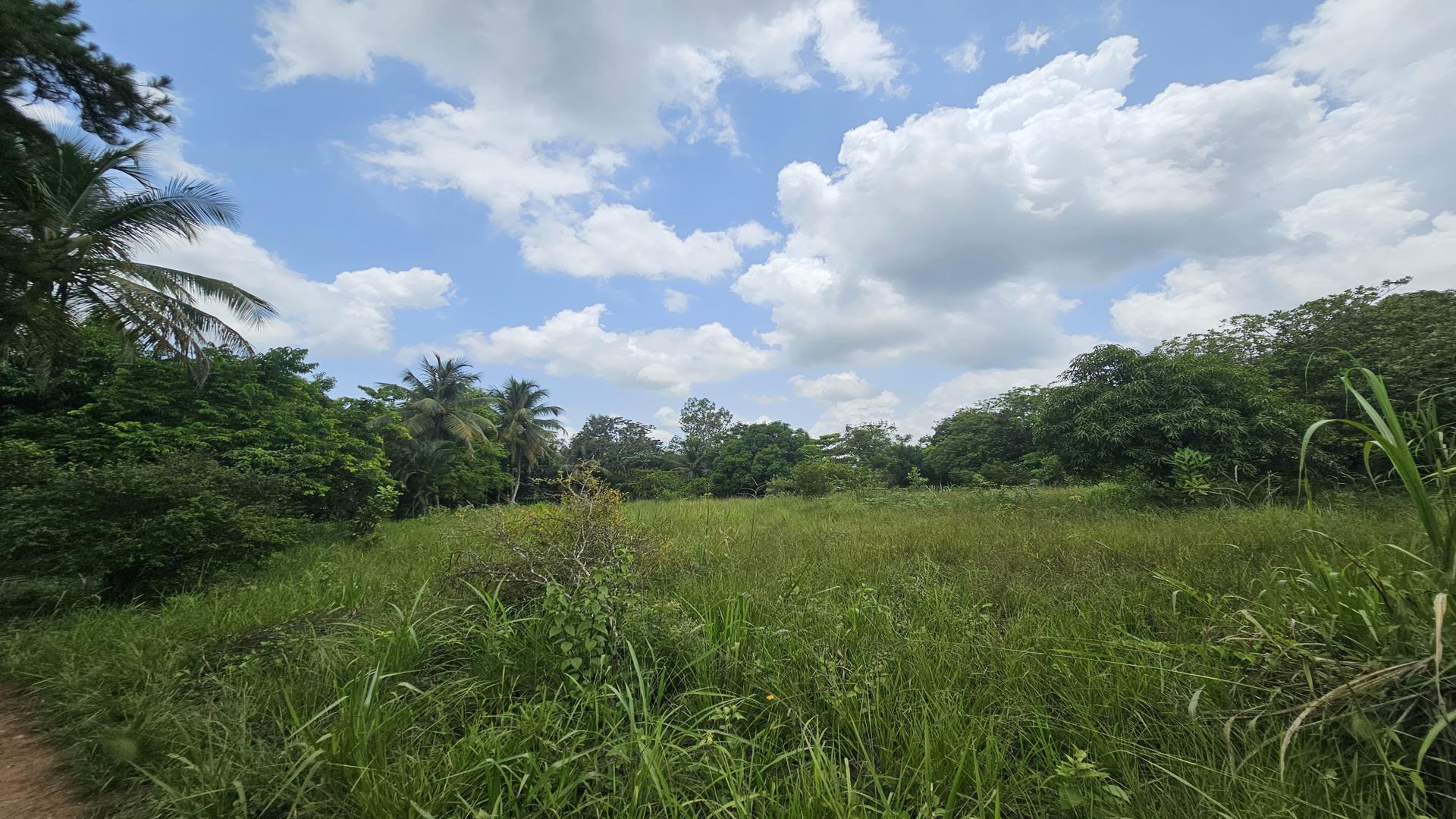 solares y terrenos - Terreno en venta, próximo a la Circunvalación Santo Domingo 2