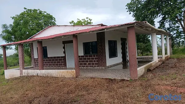 solares y terrenos - finca de 376 tareasen sabana grande de boya  5