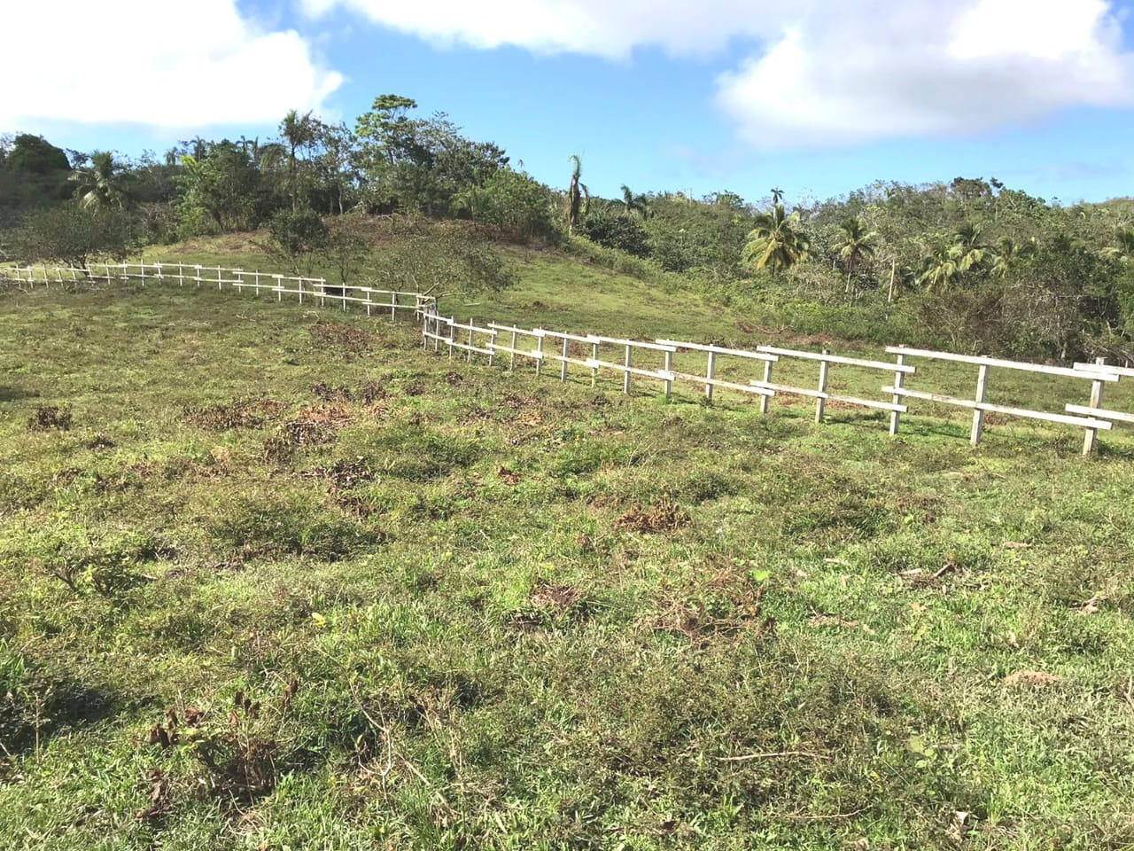 solares y terrenos - En venta : precio US$1,336,510 Las Terrenas - Las  0