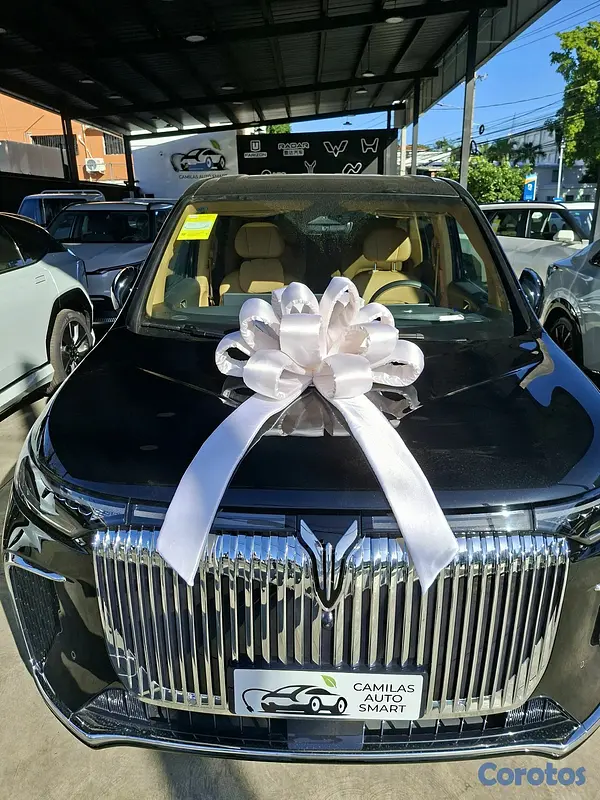 accesorios para vehiculos - lazos exclusivos para vehículos
 6