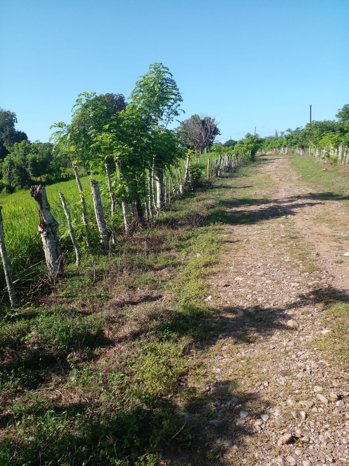 casas vacacionales y villas - casa con finca ganadera  8