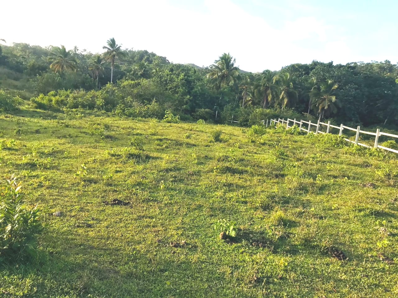 solares y terrenos - En venta : precio US$1,336,510 Las Terrenas - Las  4