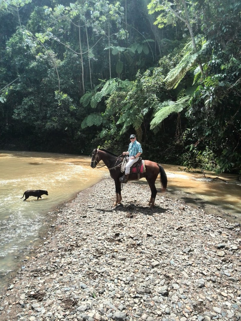 solares y terrenos - Finca en Nisibon de 3mil tareas ganadera y sembrado de Coco 3