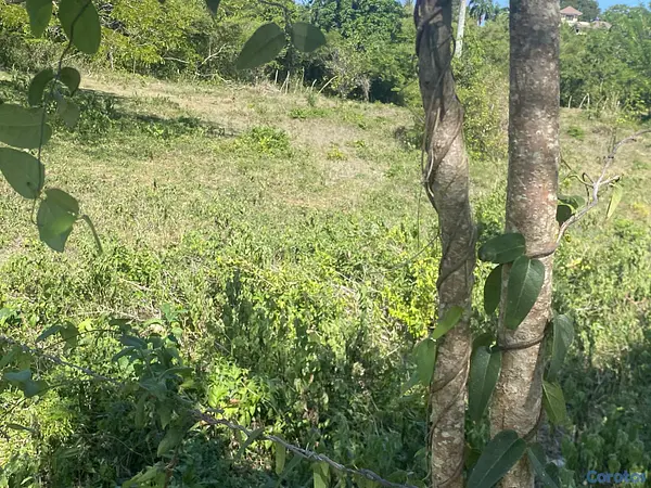 solares y terrenos - terreno para proyecto en sosua  2