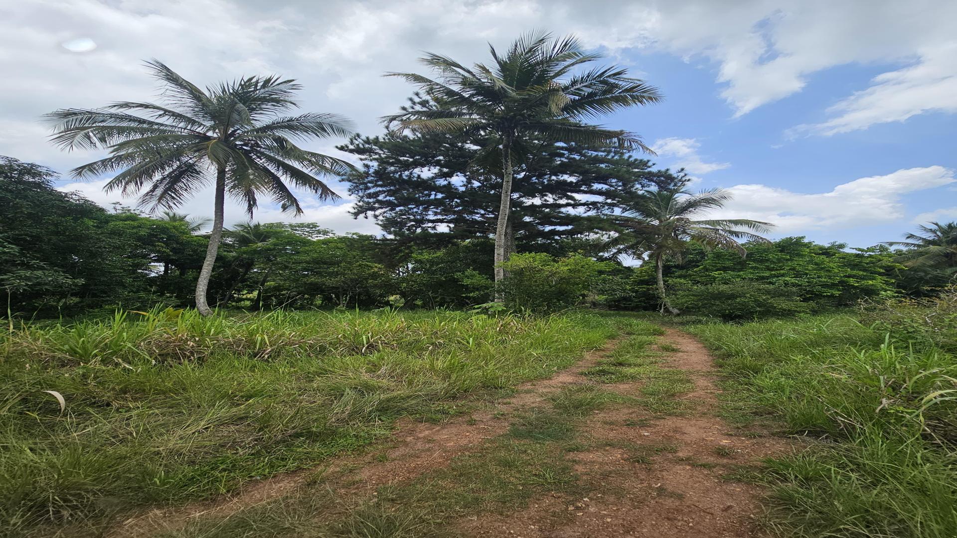 solares y terrenos - Terreno en venta, próximo a la Circunvalación Santo Domingo 7