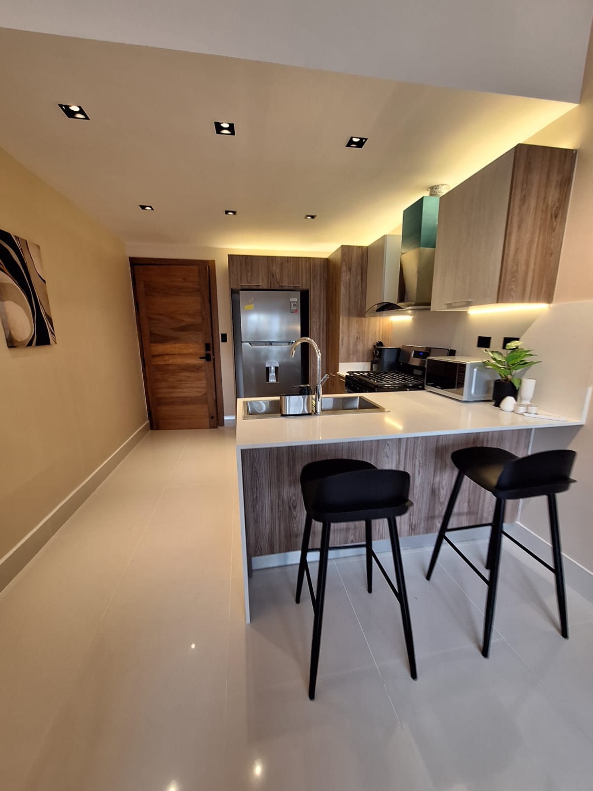 apartamentos - Rento hermoso apt amueblado minimalista con terraz 1