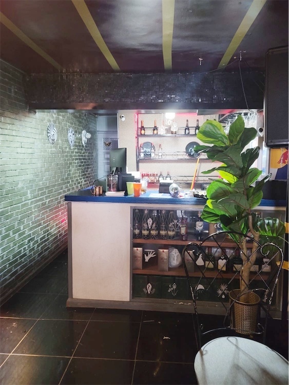 oficinas y locales comerciales - Local con terraza en Piantini 3