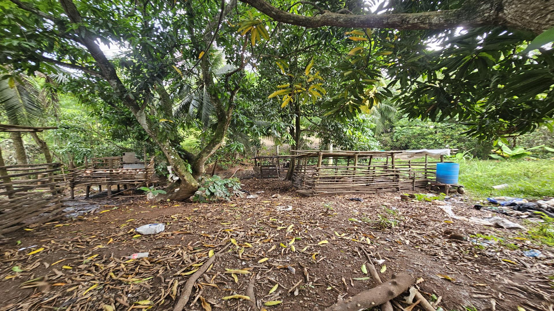 solares y terrenos - Terreno en venta, próximo a la Circunvalación Santo Domingo 4