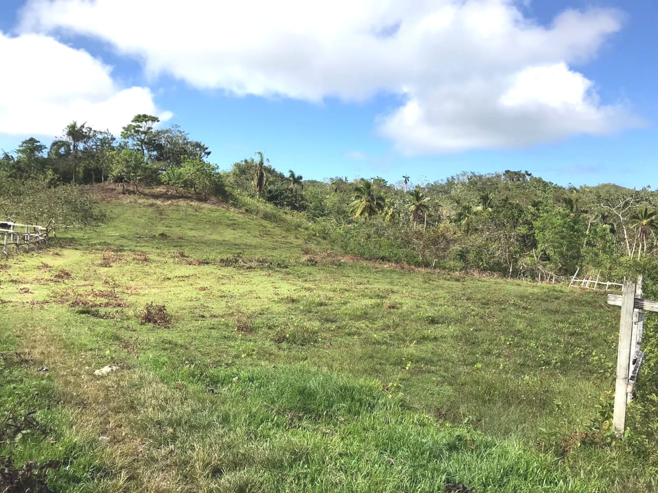 solares y terrenos - En venta : precio US$1,336,510 Las Terrenas - Las  2