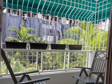 apartamentos - Apartamento Alquiler El Millon DOS Habitaciones  1
