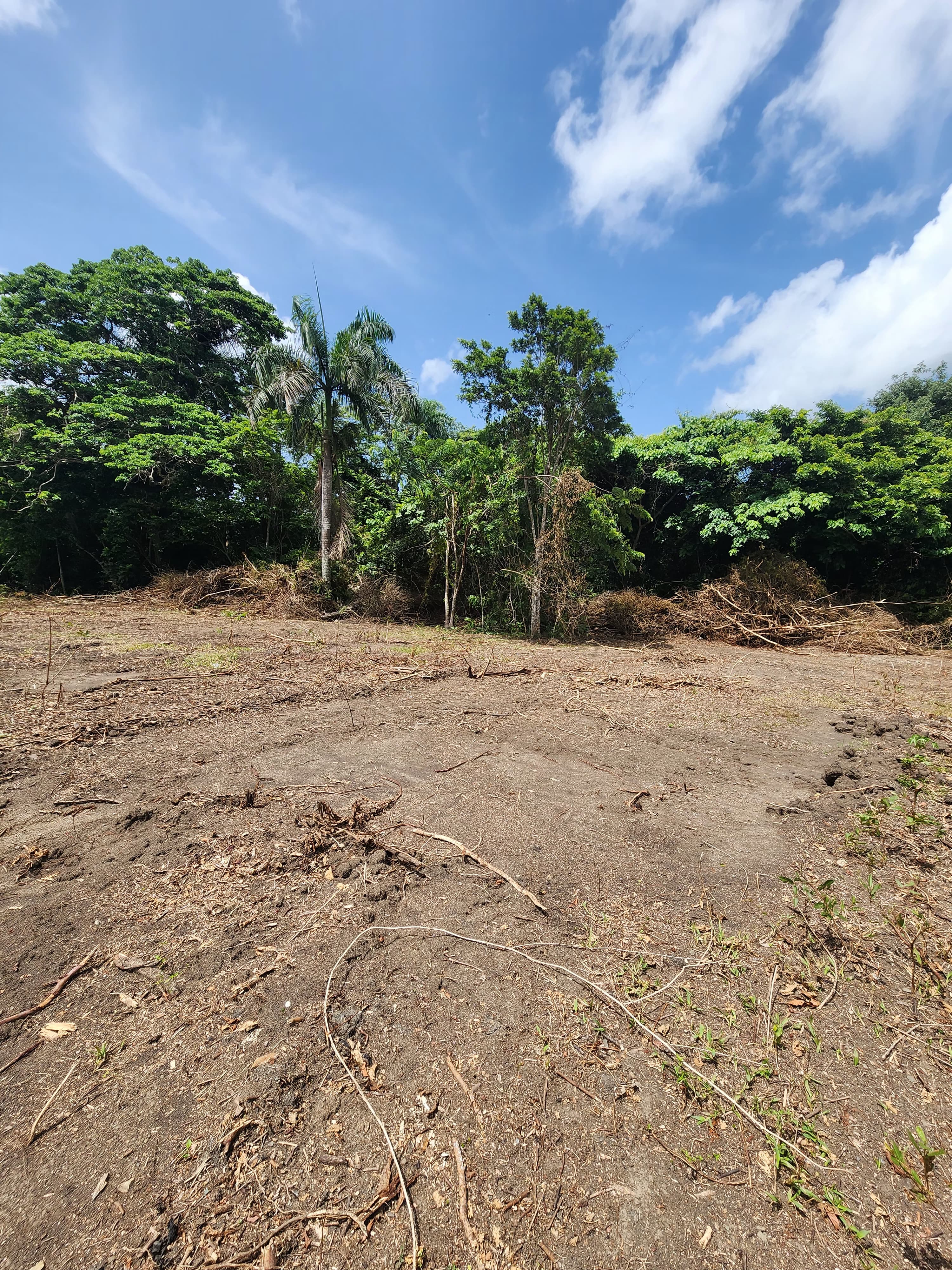 solares y terrenos - Micro finca en imbert de 6 tareas en adelante con financiamiento directo  1