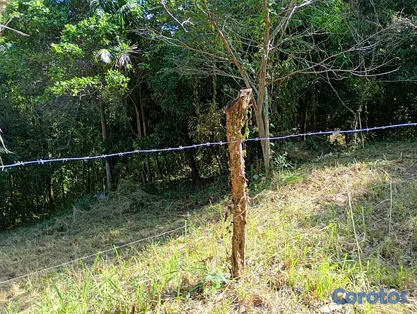 solares y terrenos - VENDO terreno en el Vacacional Matua  1