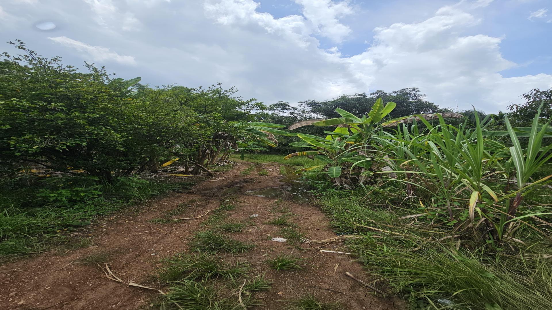 solares y terrenos - Terreno en venta, próximo a la Circunvalación Santo Domingo 5