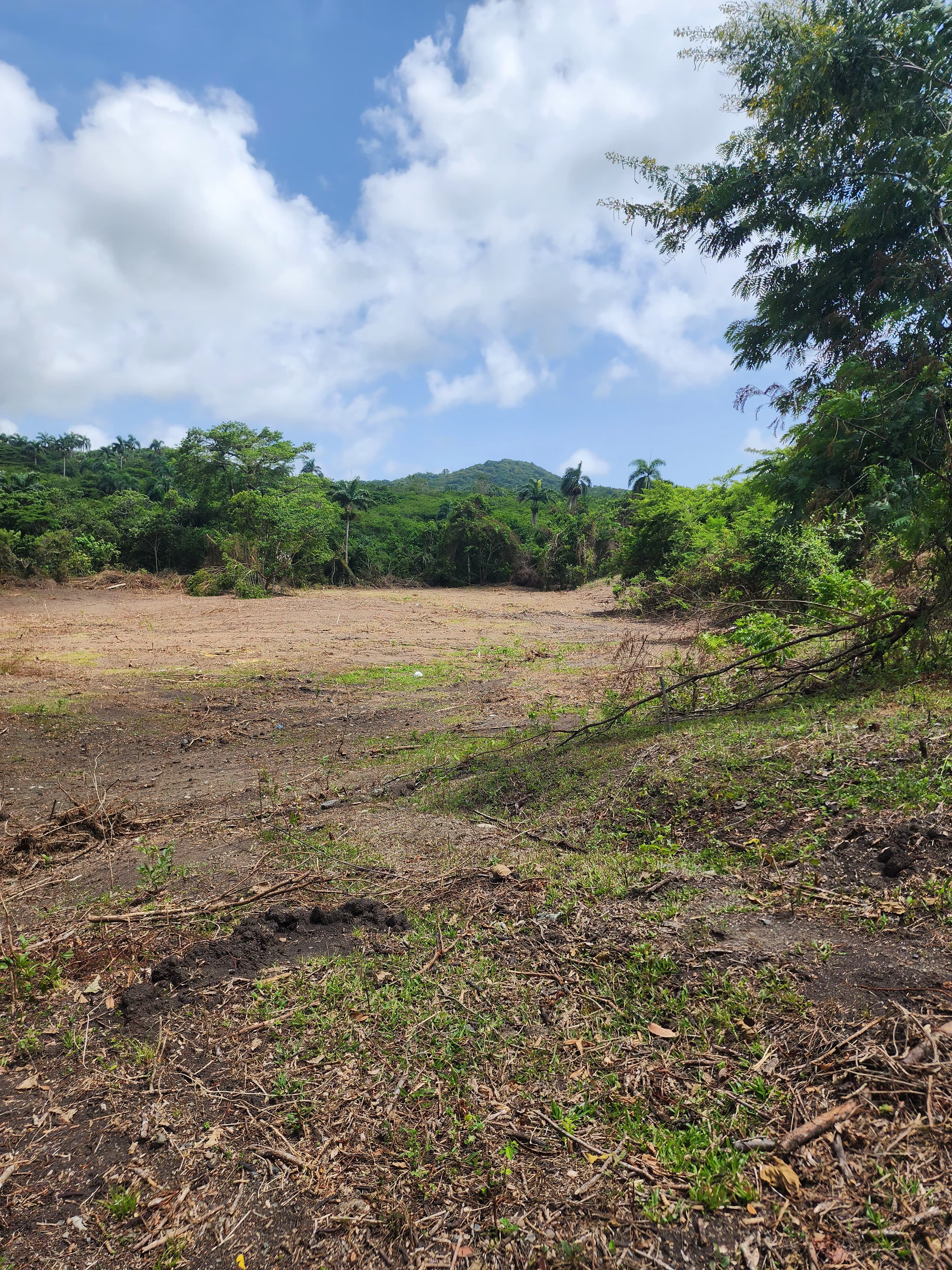 solares y terrenos - Micro finca en imbert de 6 tareas en adelante con financiamiento directo  2