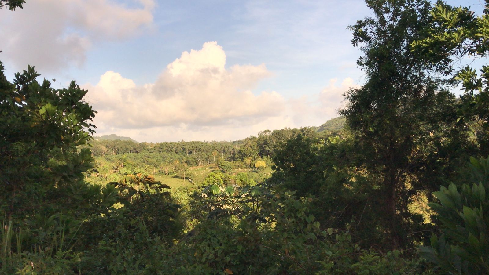 solares y terrenos - En venta : precio US$1,336,510 Las Terrenas - Las  5