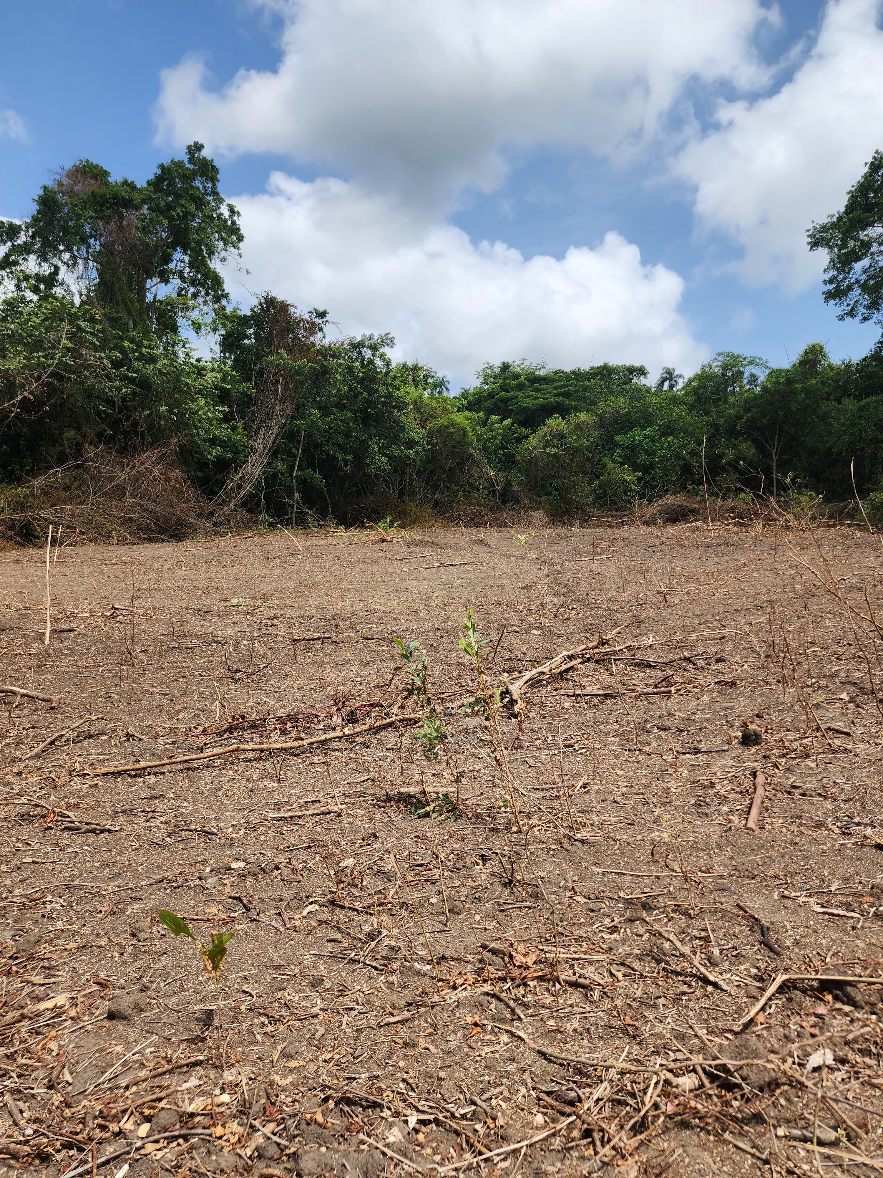 solares y terrenos - Micro finca en imbert de 6 tareas en adelante con financiamiento directo  4