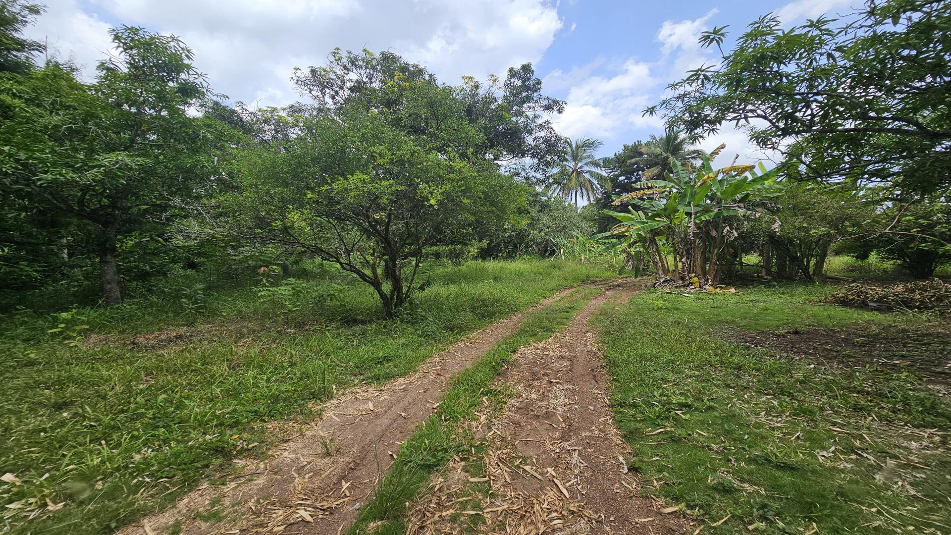 solares y terrenos - Terreno en venta, próximo a la Circunvalación Santo Domingo 8