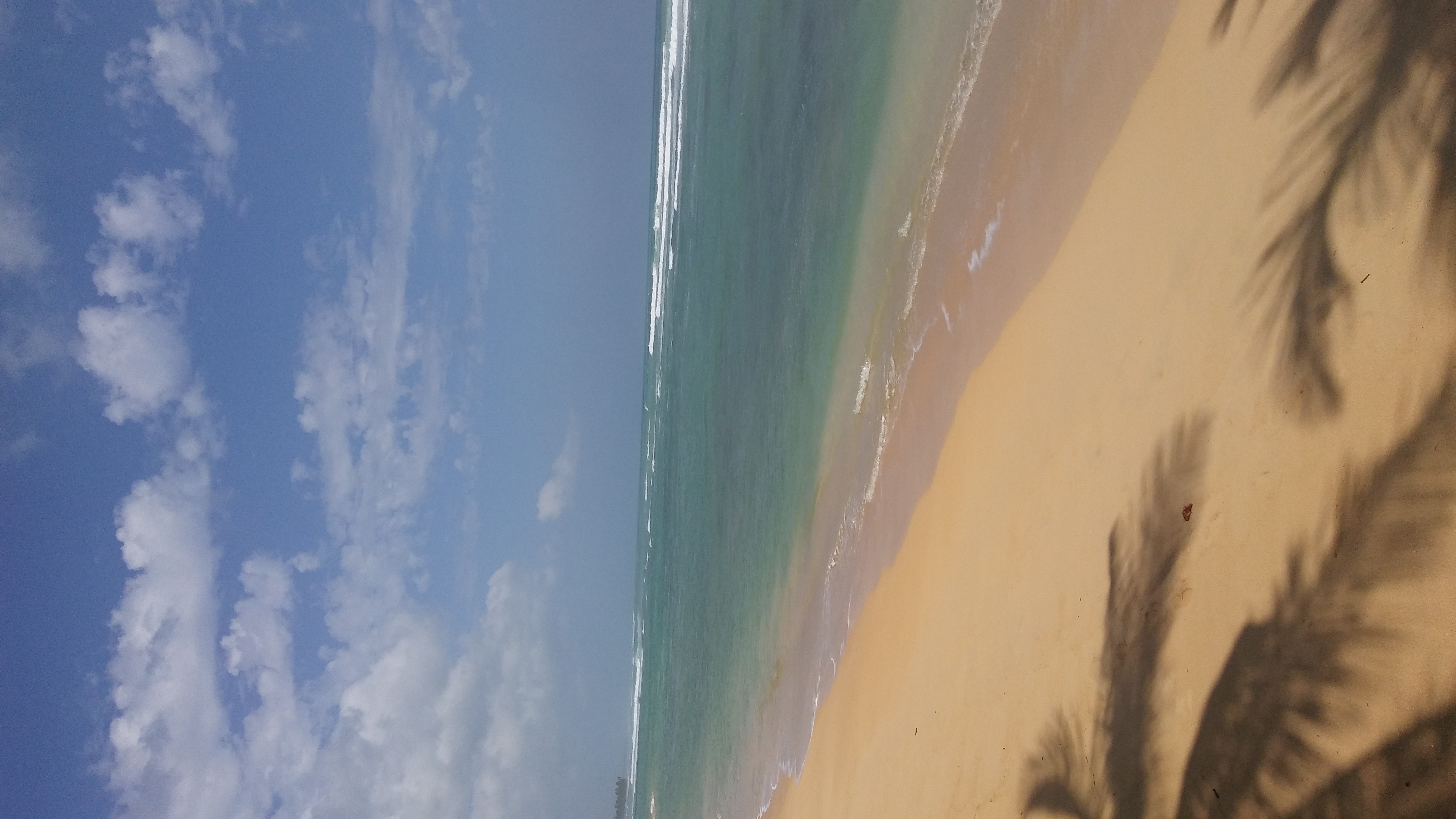 solares y terrenos - Gran Solar en Uvero Alto Punta Cana con Playa  1