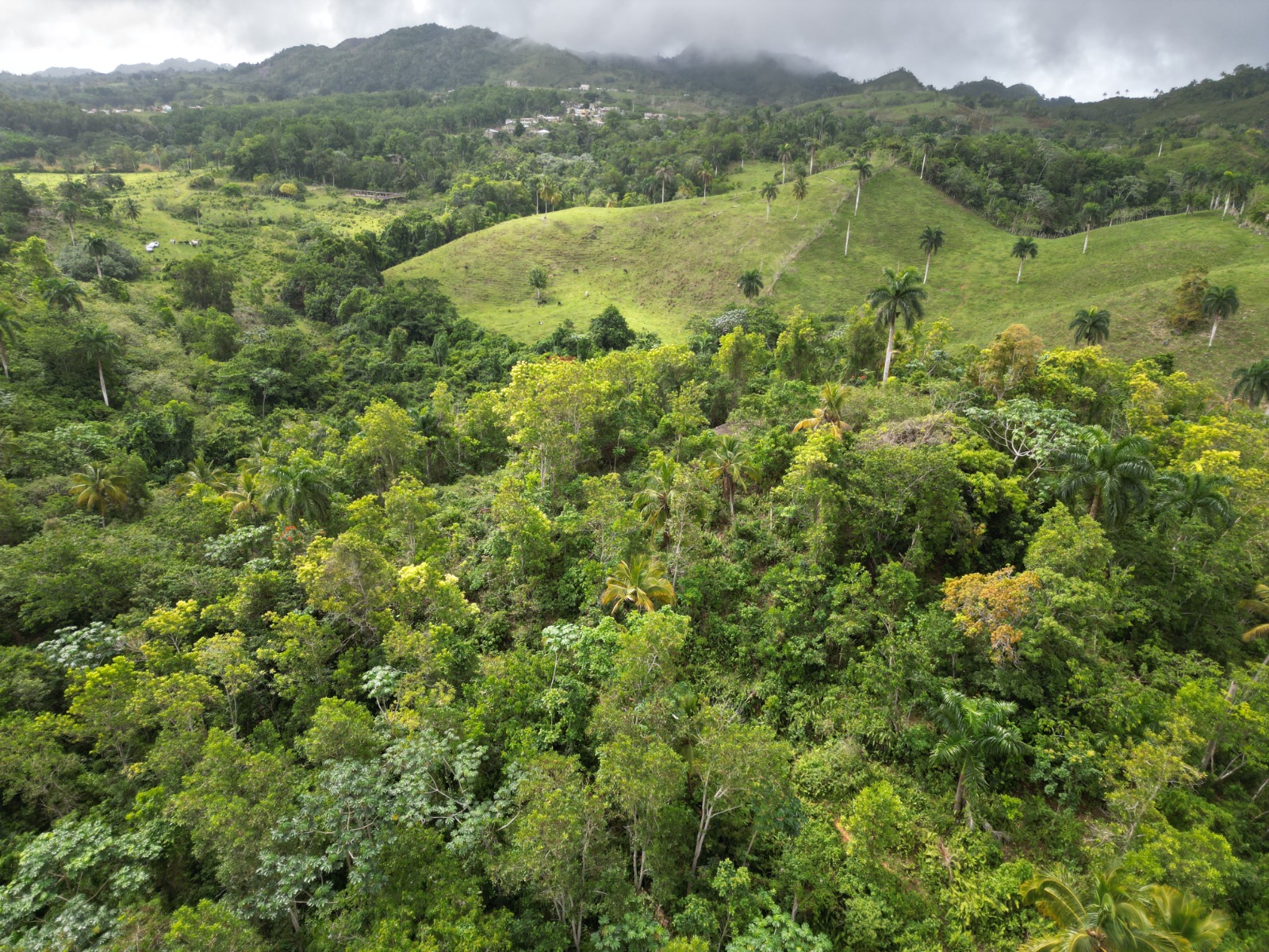 solares y terrenos - En venta : precio US$1,336,510 Las Terrenas - Las  6