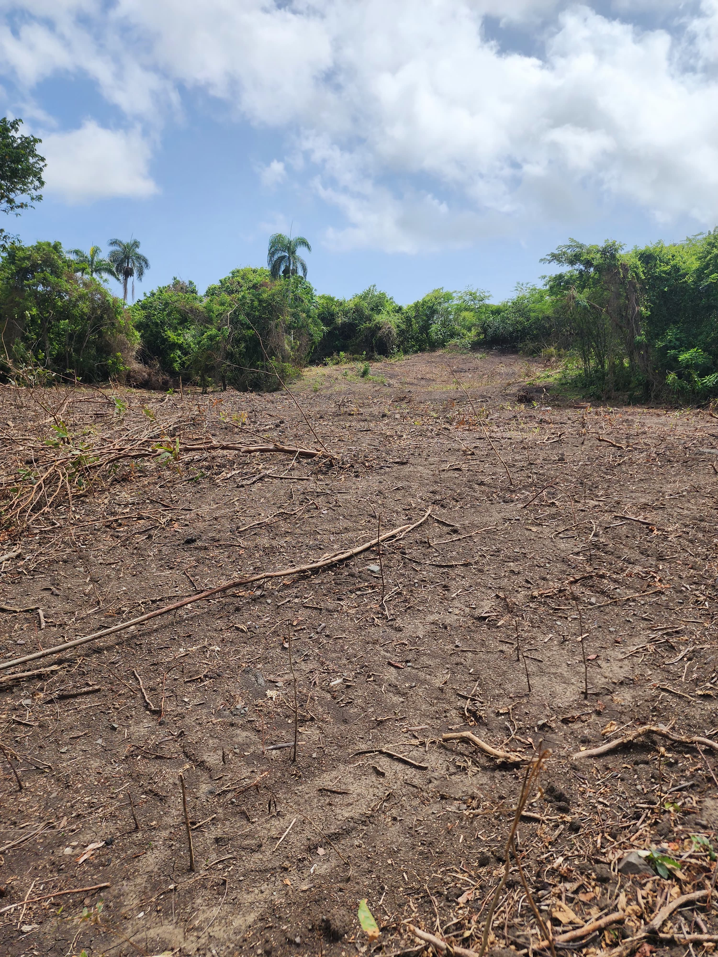 solares y terrenos - Micro finca en imbert de 6 tareas en adelante con financiamiento directo  5