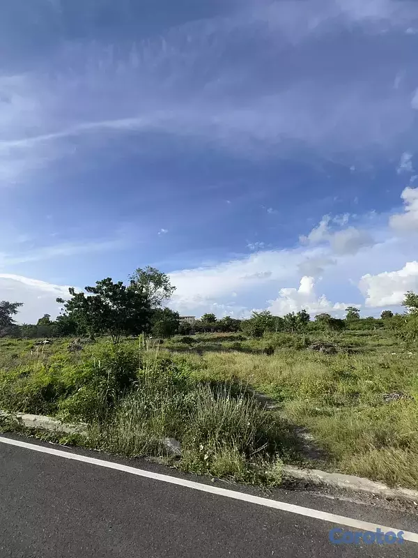 solares y terrenos - Bayahibe - Terreno en venta de 6,000 m² 6