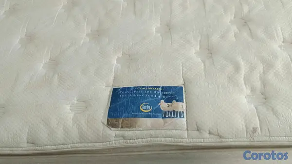 muebles y colchones - Colchon King con doble pillow top 4