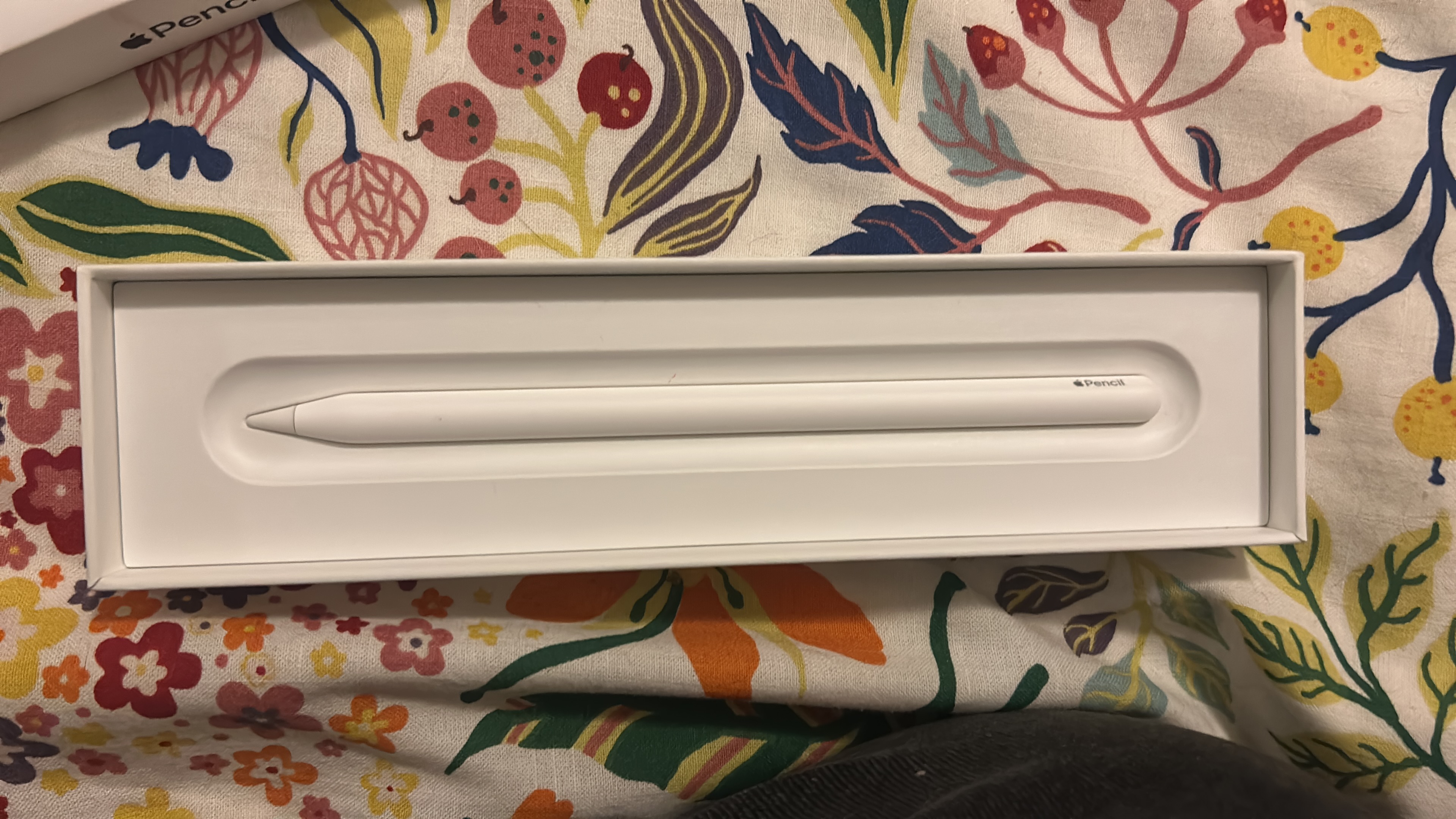 celulares y tabletas - Apple Pencil segunda generación 