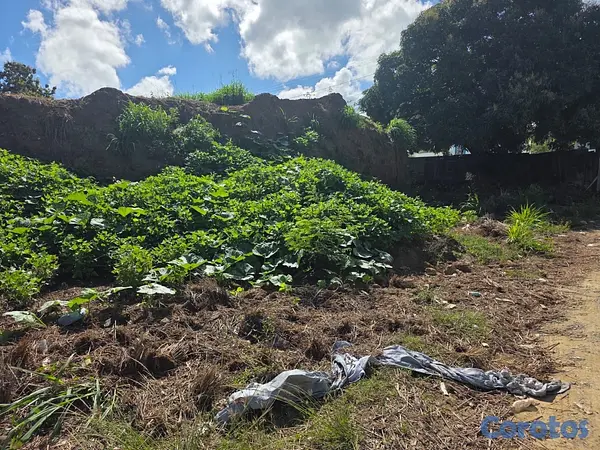 solares y terrenos - Solar en Venta con Proyecto Aprobado – Arroyo Hondo


  11