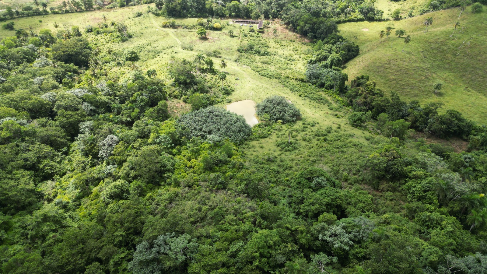 solares y terrenos - En venta : precio US$1,336,510 Las Terrenas - Las  7