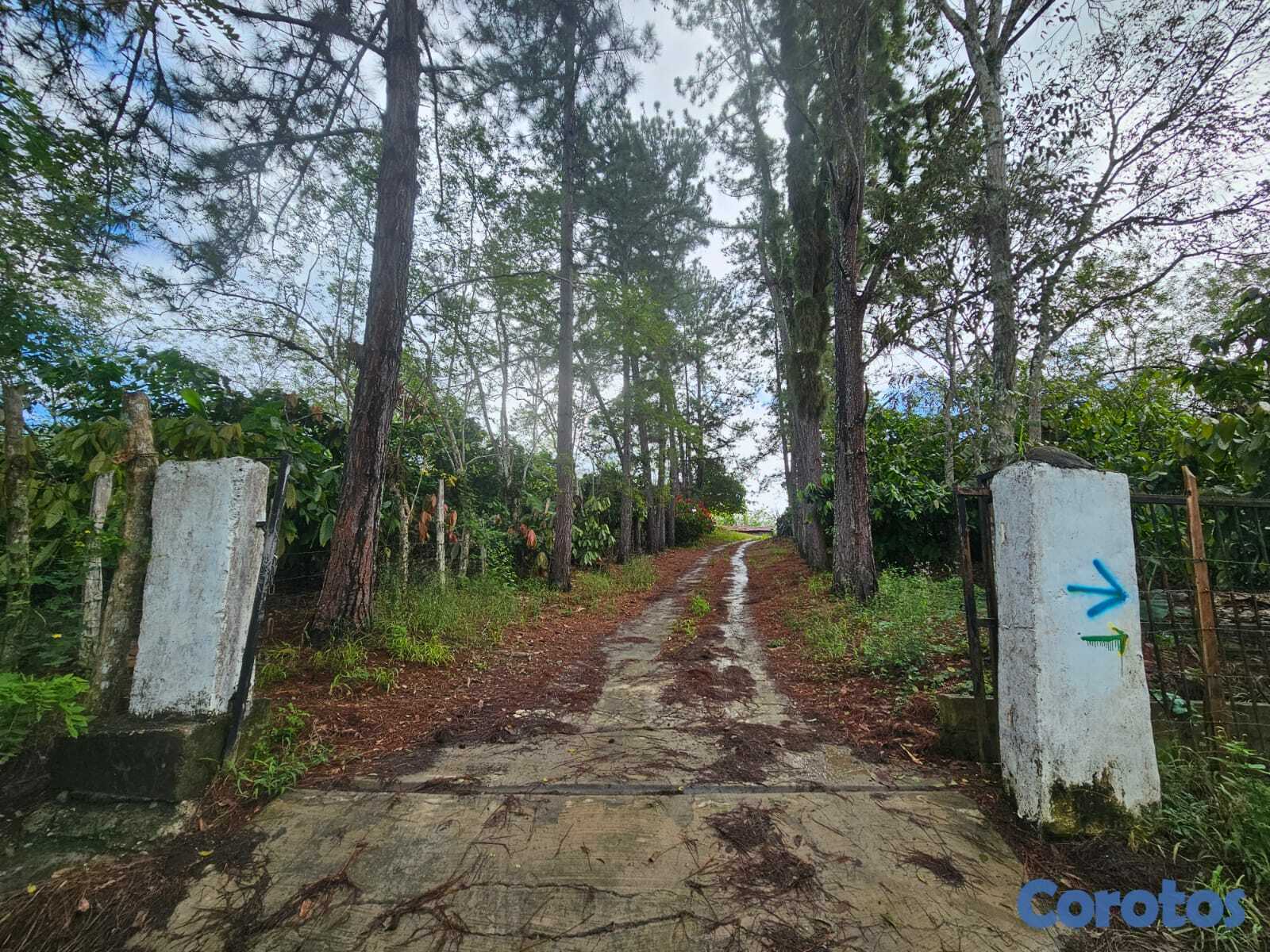 solares y terrenos - Finca en Venta de 1,175 tareas, en El Cercado San Francisco de Macorís Macoris 6