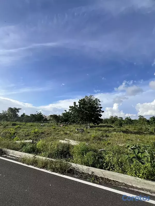 solares y terrenos - Bayahibe - Terreno en venta de 6,000 m² 7