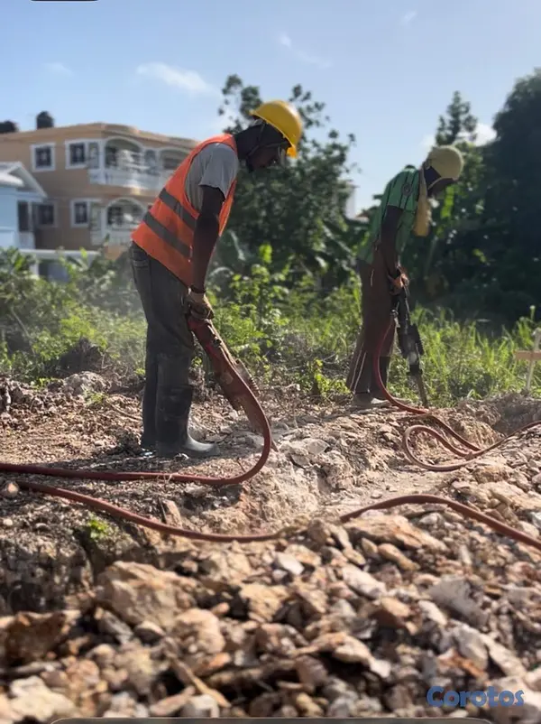 plantas e inversores - Servicio de excavación de calidad 4