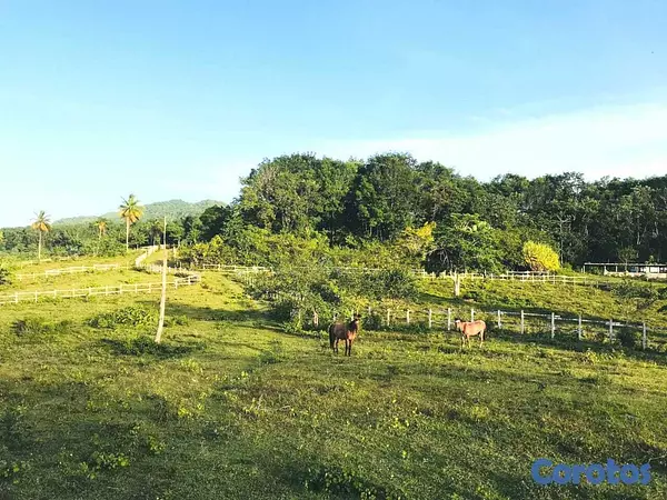 solares y terrenos - Terreno en venta con potencial para proyectos 2