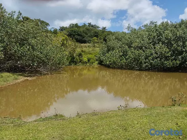solares y terrenos - Terreno en Venta – Las Terrenas / Las Guázaras 4