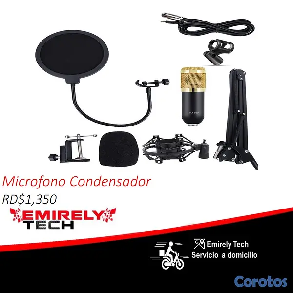equipos profesionales - Micrófono Condensador Profesional de estudio 1