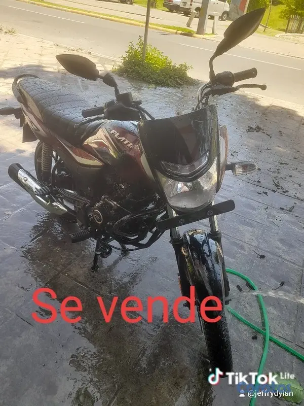 motores y pasolas - Matricula en mano todo aldia  3