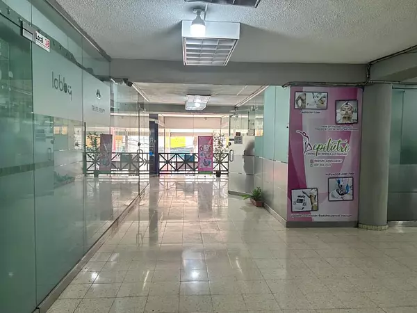 oficinas y locales comerciales - Edificio en ZONA COLONIAL 8